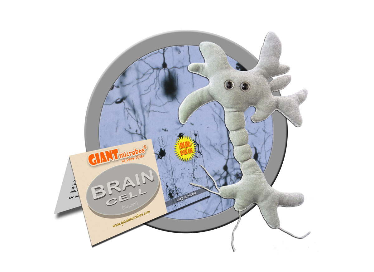 giant microbes neuron