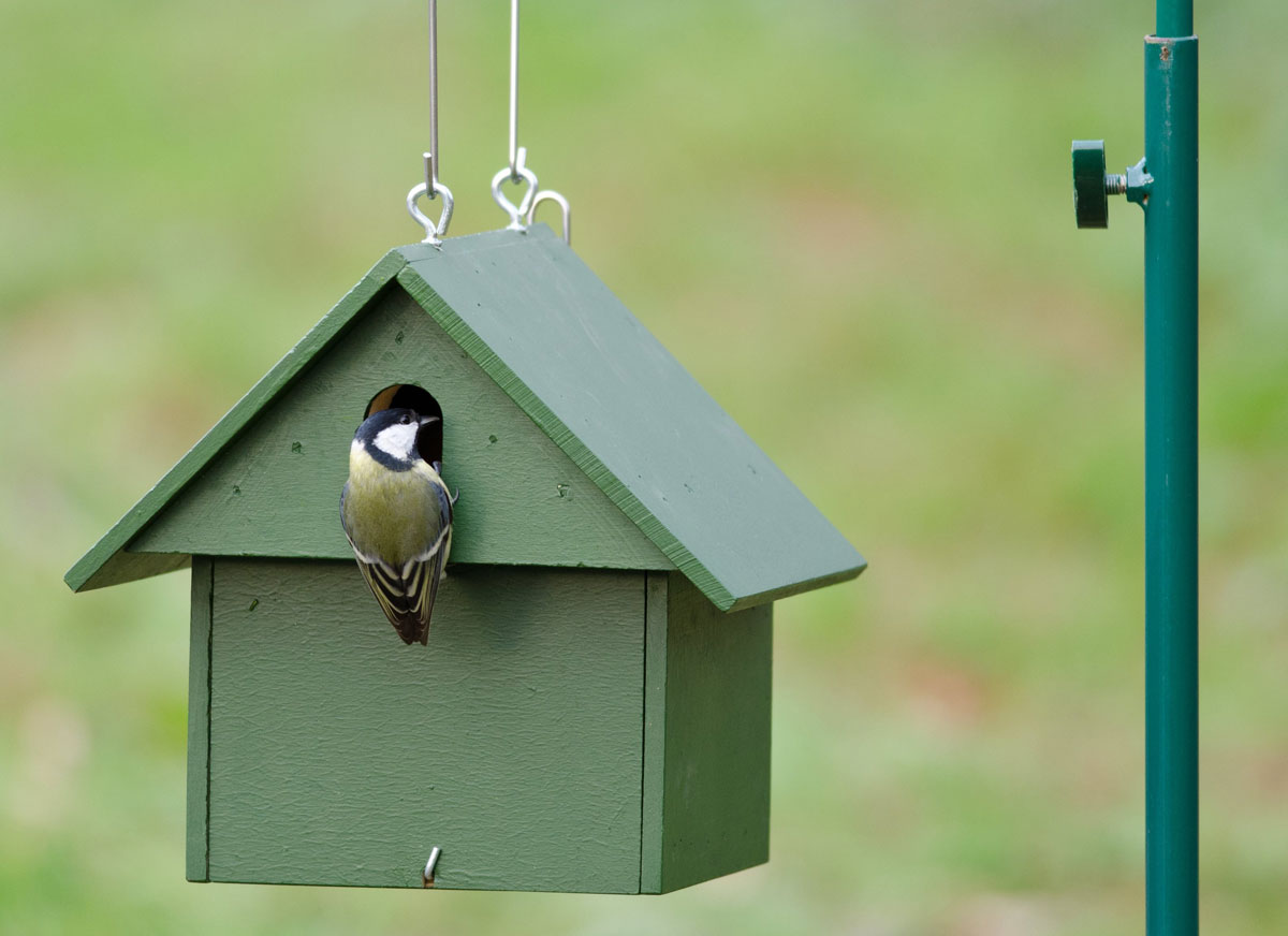 Eco Plate Hanging Nest Box Eden Project Shop