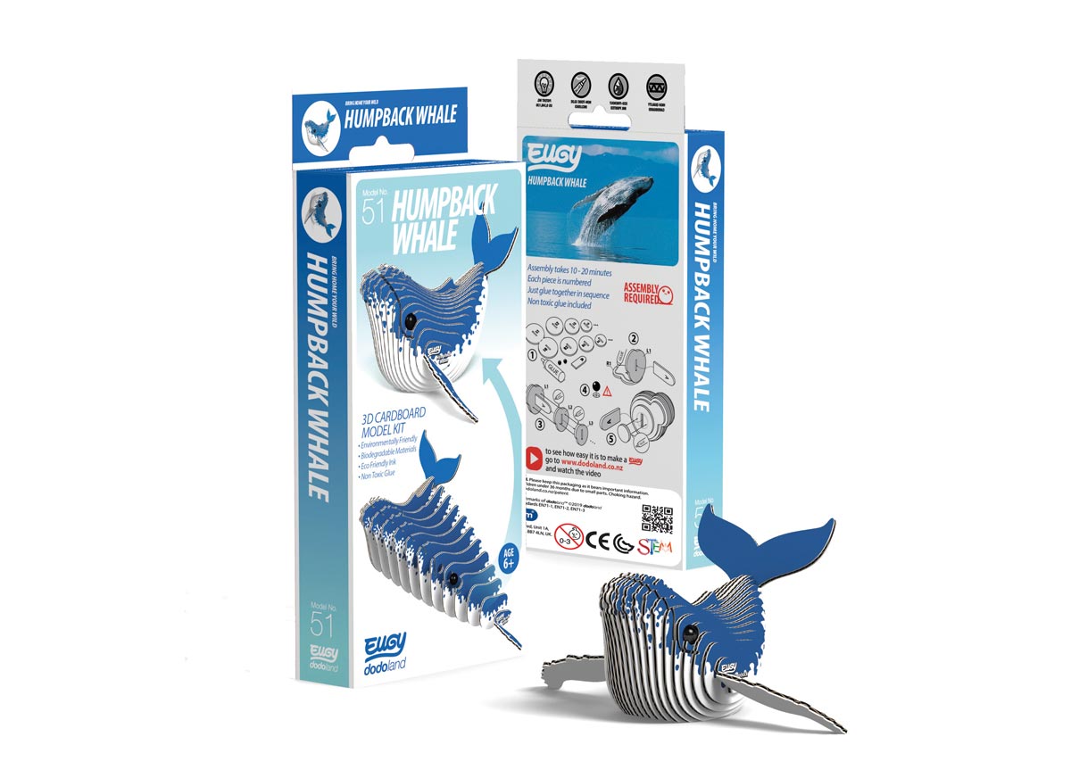 Humpback whale 3D cardboard model kit | Eden Project Shop