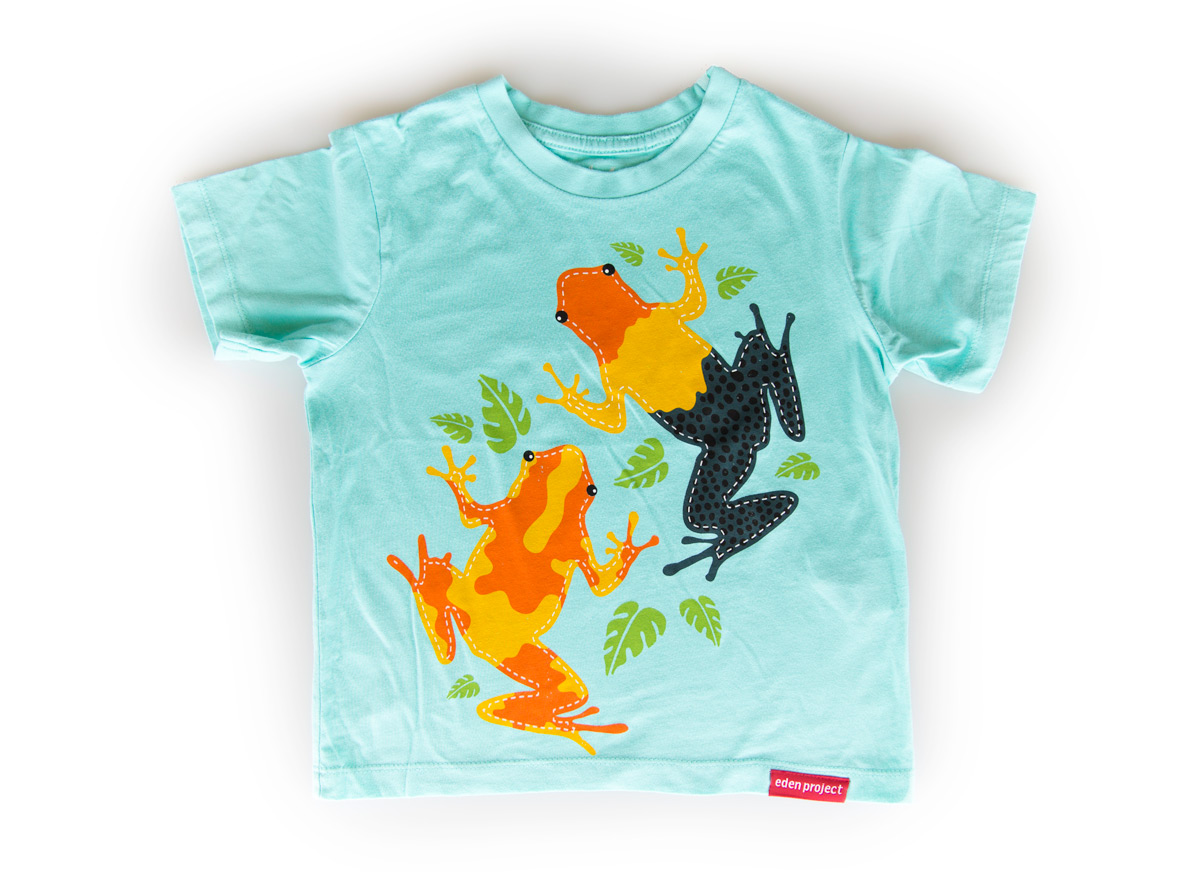 Kids tree frog t-shirt | Eden Project Shop