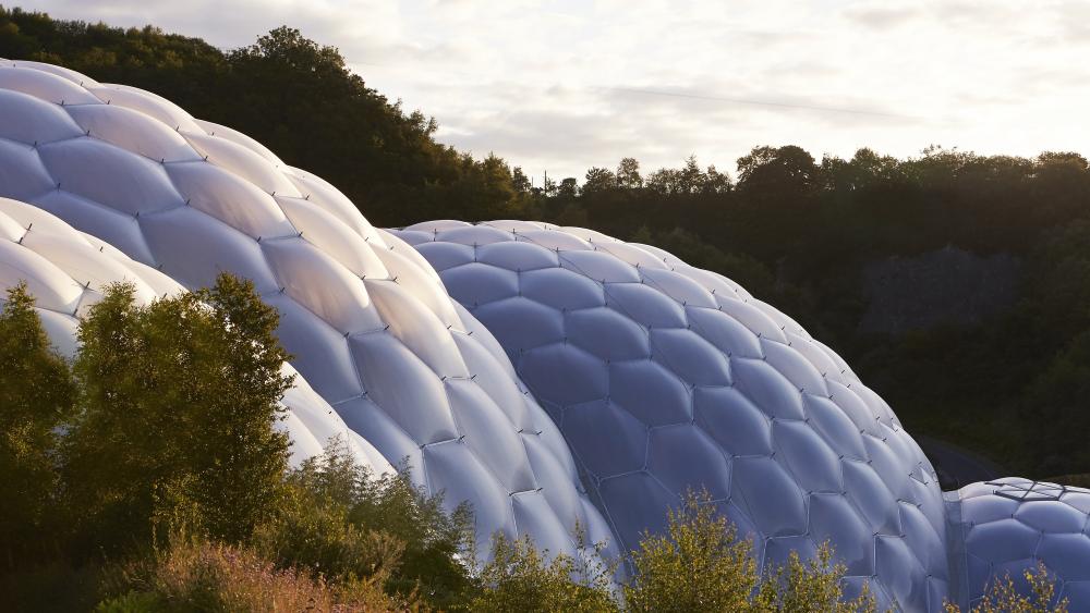 Eden Project New Zealand feasibility study bolstered by new investment