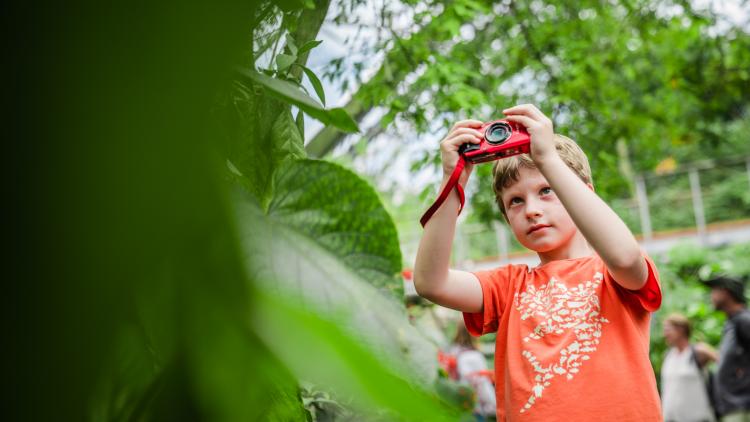 Boy taking photo in Rainforest Biome at Eden Project