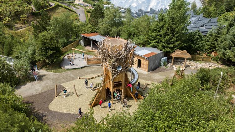 Aerial view of a giant 'Tree of Life' climbing tower for children