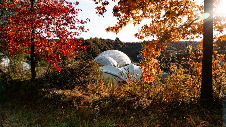 Wide shot of the Biomes in between red and orange Autumn trees