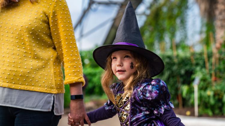 Halloween at the Eden Project