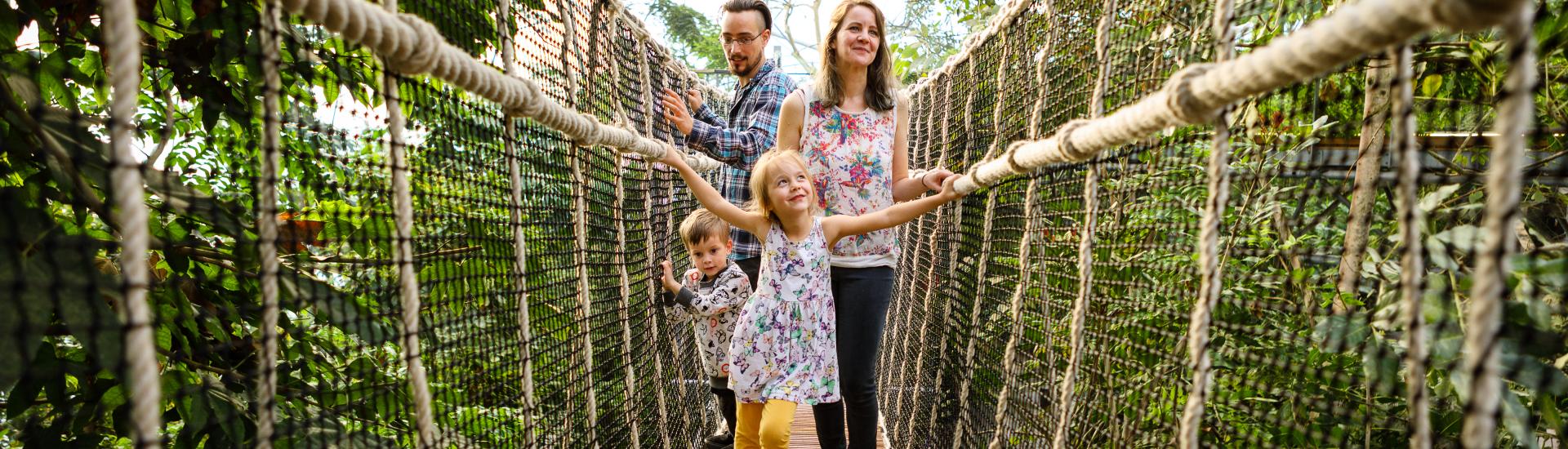 Family crossing wobbly bridge in the Rainforest Biome