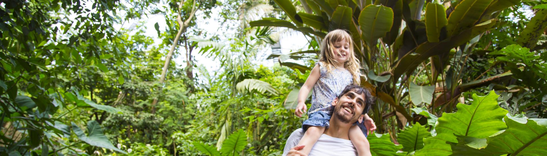 daughter on father shoulder Eden Project Rainforest