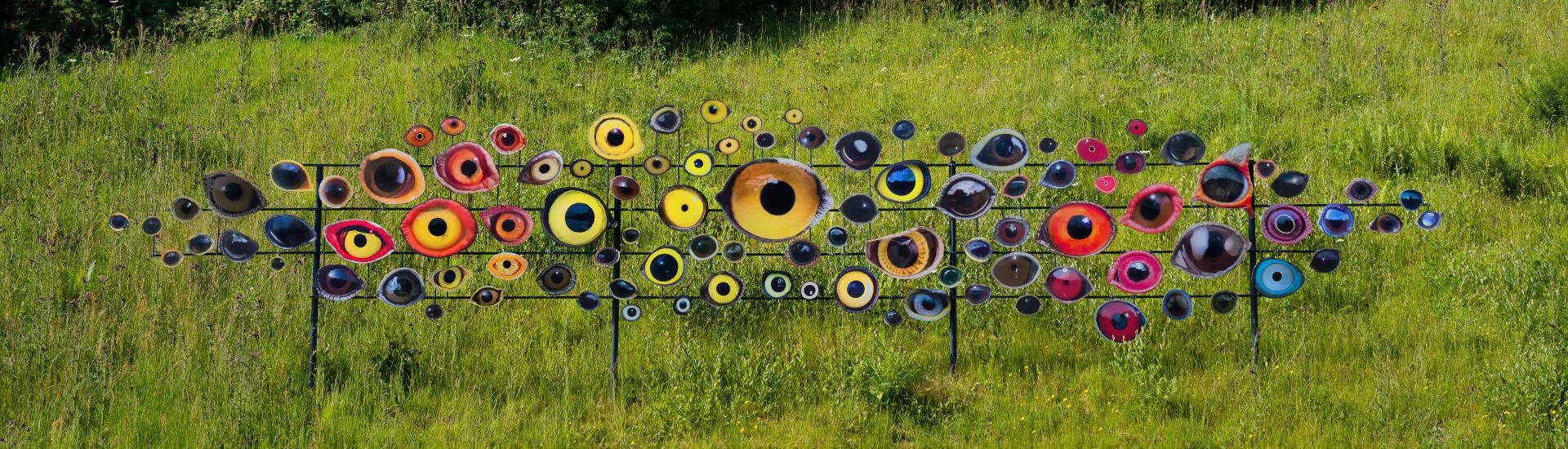 Reflective photographs of birds eyes mounted on a frame on a grass verge