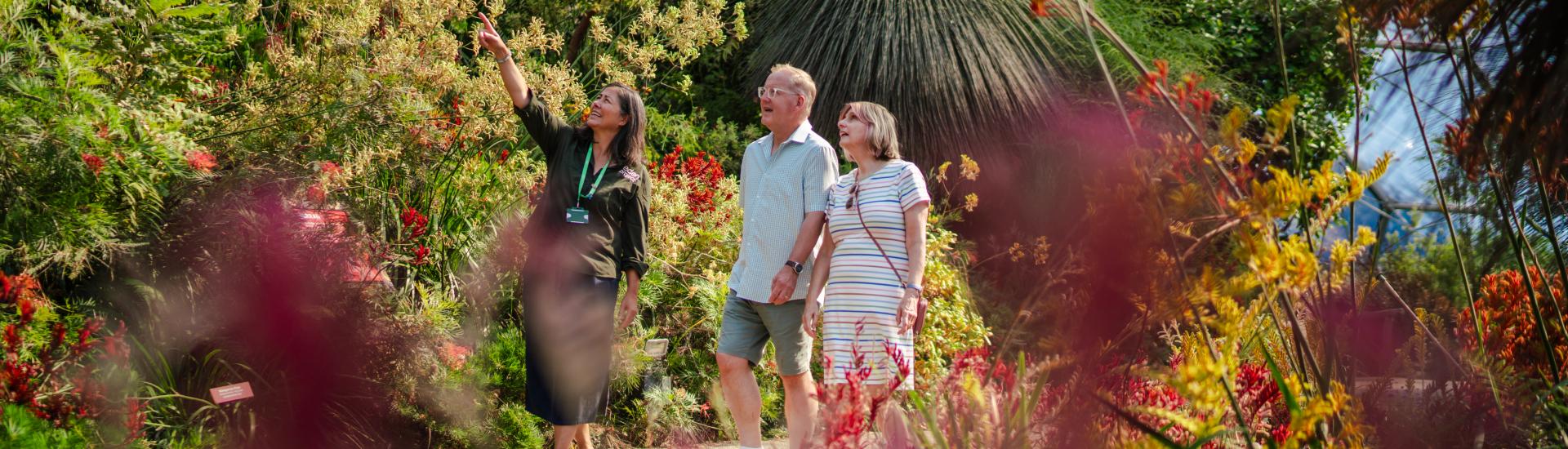 Eden Project guide showing two visitors around the Mediterranean Biome