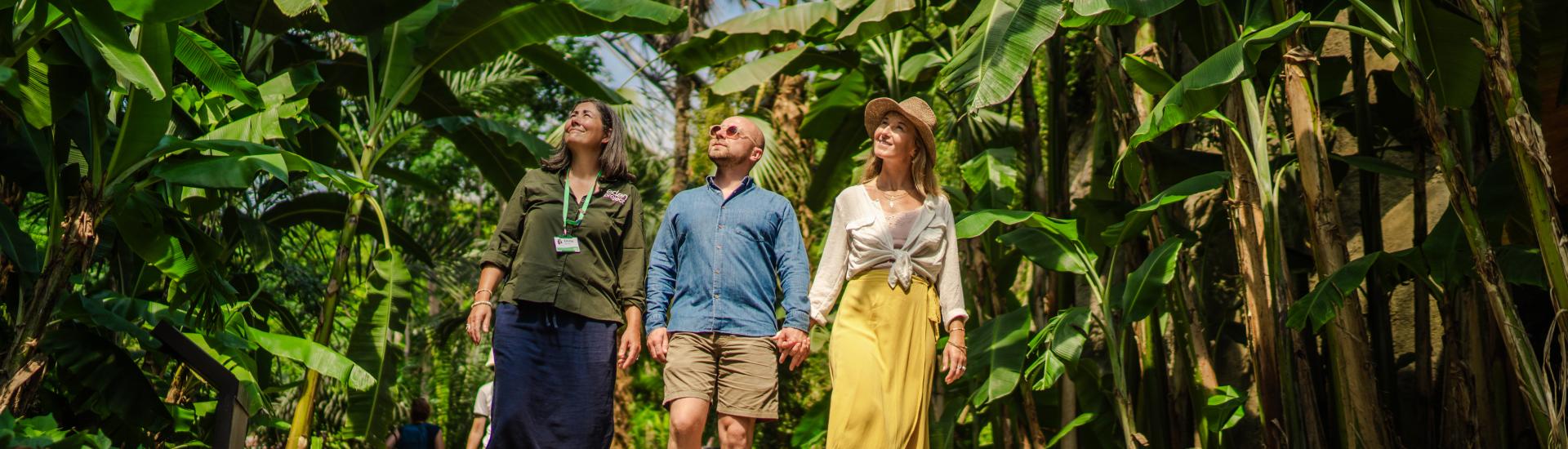 Tour guide and two visitors exploring Rainforest Biome