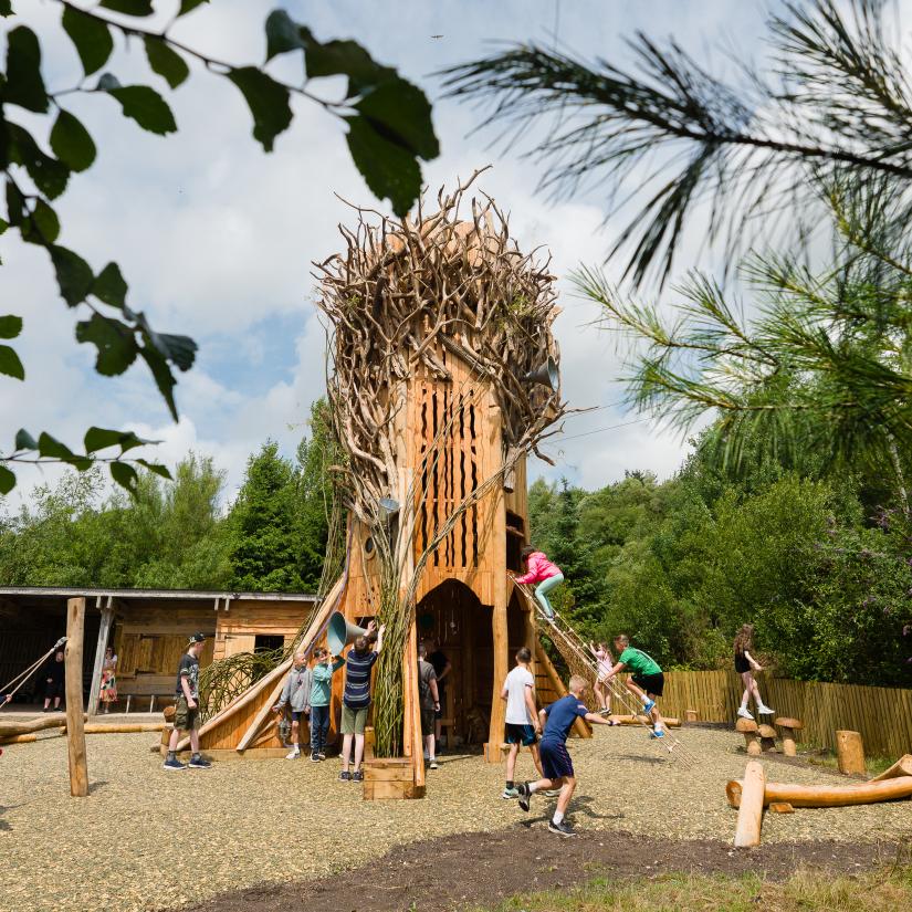 Outdoor playground for kids deals